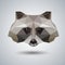Abstract polygonal tirangle animal raccoon. Hipster animal