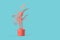 Abstract potted pink plant in vase on teal background. 3D illustration