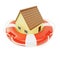 Abstract private house inside of lifebuoy concept