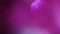 Abstract purple background with blinking bokeh lights