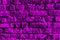 Abstract purple background with brick wall texture. Brickwork close-up.