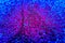 Abstract purple burst background