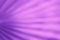 Abstract purple colour background
