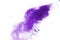 Abstract purple powder explosion on white background. abstract colored powder splatted, Freeze motion of colorful powder exploding