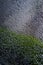 Abstract rain drops pattern on glass window of car with green reflection of plant