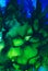 Abstract raster green underwater seaweed