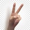 abstract realistic human hand image on checkered background, two fingers peace or victory sign vector