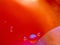 Abstract red background. Bubbles in abstract universe. Macro shot. Blurred background. Colorful droplets. Abstract