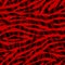 Abstract red and black zebra striped textured seamless pattern background