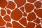 Abstract red brown color of giraffe texture