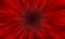 Abstract red color fast zoom speed motion background