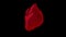 Abstract red realistic heart beating and rotating isolated on black background, seamless loop. Animation. Real human