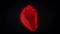 Abstract red realistic heart beating and rotating isolated on black background, seamless loop. Animation. Real human