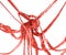 Abstract red tangled ribbon