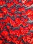 An abstract red tough surface art