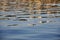 Abstract reflection of colorful Rijeka building on sea. Adriatic Sea surface with gold effect.