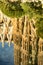 Abstract reflection of the exterior of the famous Familia Sagrada church