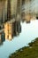 Abstract reflection in the water. Sunny day. Distorted view with ripples. Urban shot.