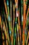 Abstract Rendition of Bamboo Forest