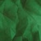 Abstract retro low poly background green soft color textured with small thin fiber