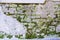 Abstract retro Old wall brick cracks with moss background