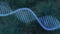 Abstract RNA 3D animation on dark blurry green blue organic background. Blue glowing rotating DNA double helix self destructs.