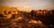 Abstract Rock formation in Isalo national park at sunset, Madagascar