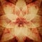 Abstract rosette background