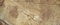 Abstract Rough Pine Wood Grain Wide Texture Close-up