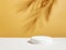 Abstract round podium, bright yellow empty background, hard shadows from the plant. Minimalism