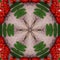 Abstract rowan ashberry and leaves on wooden backgrounds .kaleidoscope designs