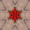 Abstract rowan ashberry and leaves on the wooden backgrounds .kaleidoscope designs stars