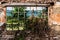 Abstract ruin windows surrounded with grass and old wall bricks