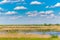 Abstract rural scenery in spring, with infinite horizon, bright colors, along natural lake with reed plants