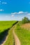 Abstract rural scenery in spring, with infinite horizon, bright colors, along natural lake with reed plants