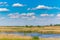 Abstract rural scenery in spring, with infinite horizon, bright colors, along natural lake with reed plants