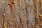 Abstract rusty metal background