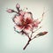 Abstract sakura flower, bright botanical floral background