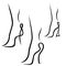 Abstract samples of graceful female feet