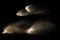 Abstract sand cloud. Golden colored sand splash against dark background.