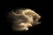 Abstract sand cloud. Golden colored sand splash against dark background