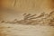 Abstract sand texure background