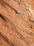 Abstract sandy background in Namib desert