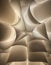 Abstract scallop pedal background in beige