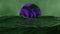 Abstract sci-fi object over ocean seamless loop. The black and purple sphere floating on dramatic sea wave and green environment.