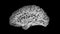 Abstract Science 3d Digital Brain Wirferame Textured Loop