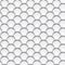 Abstract seamless background form of grayscale fish scales