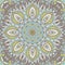 Abstract seamless floral vector mandala medallion