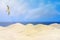 Abstract seascape tropical beach background, blur bokeh light of calm sea, sky, rays of the sun and a seagull