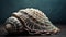 Abstract seashell collection showcases nature intricate beauty generated by AI
